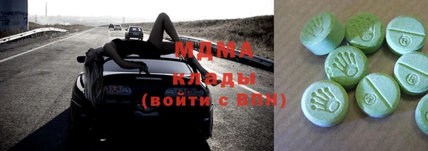 хмурый Арсеньев