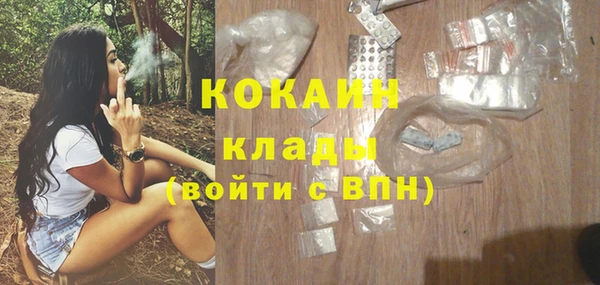 мдпв Семёнов