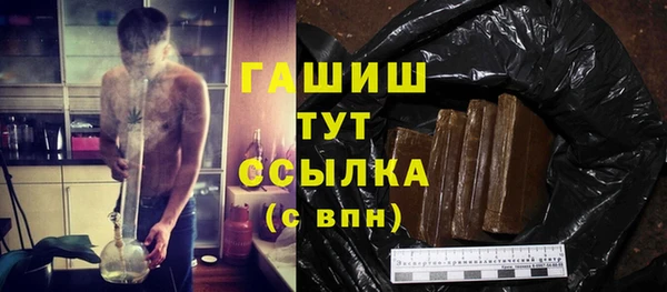 хмурый Арсеньев