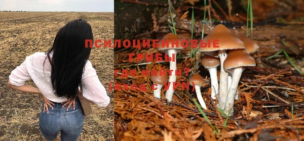 хмурый Арсеньев